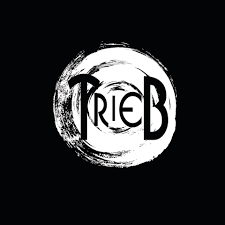 TRIEB: banda inserida em playlist da semana do blog Violent Noise