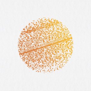 THE GATHERING: DE VOLTA AOS PALCOS, E TAMBÉM AOS DISCOS